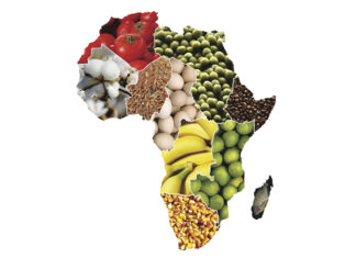 ‘How Can Africa Feed Itself?’ There’s an App for That!