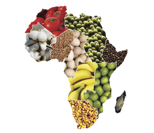 ‘How Can Africa Feed Itself?’ There’s an App for That!