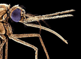 Interview with Dr Tokunbo Alli of AXA Mansard Health Insurance