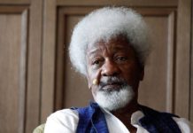 Film on Soyinka’s Ake released on Amazon