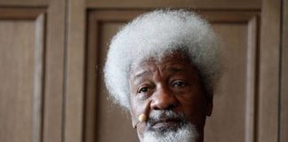 Film on Soyinka’s Ake released on Amazon
