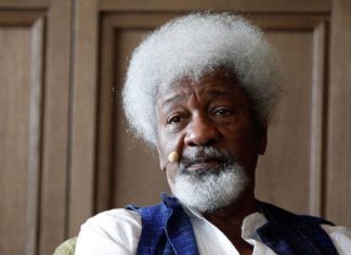 Film on Soyinka’s Ake released on Amazon