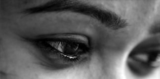 The Eye Trip