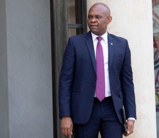 Nigerian Mogul Elumelu Targets $2.5 Billion Power Build-Out