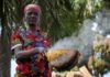 Every bit helps? Nigeria targets poverty with welfare plan