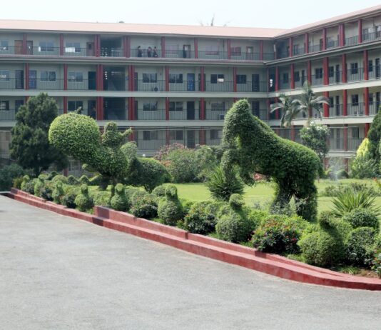 We are training, supporting other schools to build robotics programmes