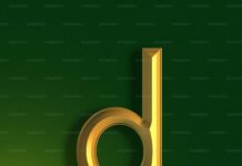 TOP 5 EDUCATIONAL APPS FOR STUDENTS: ENHANCE LEARNING ON THE GO Duolingo logo