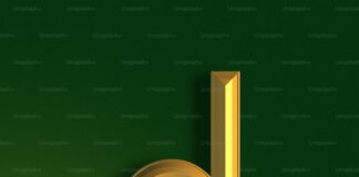 TOP 5 EDUCATIONAL APPS FOR STUDENTS: ENHANCE LEARNING ON THE GO Duolingo logo