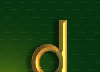 TOP 5 EDUCATIONAL APPS FOR STUDENTS: ENHANCE LEARNING ON THE GO Duolingo logo