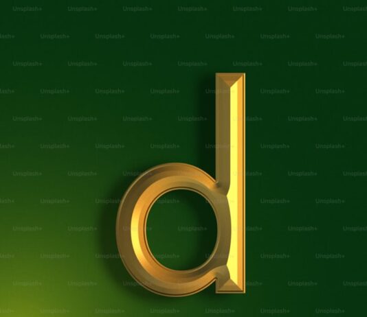 TOP 5 EDUCATIONAL APPS FOR STUDENTS: ENHANCE LEARNING ON THE GO Duolingo logo